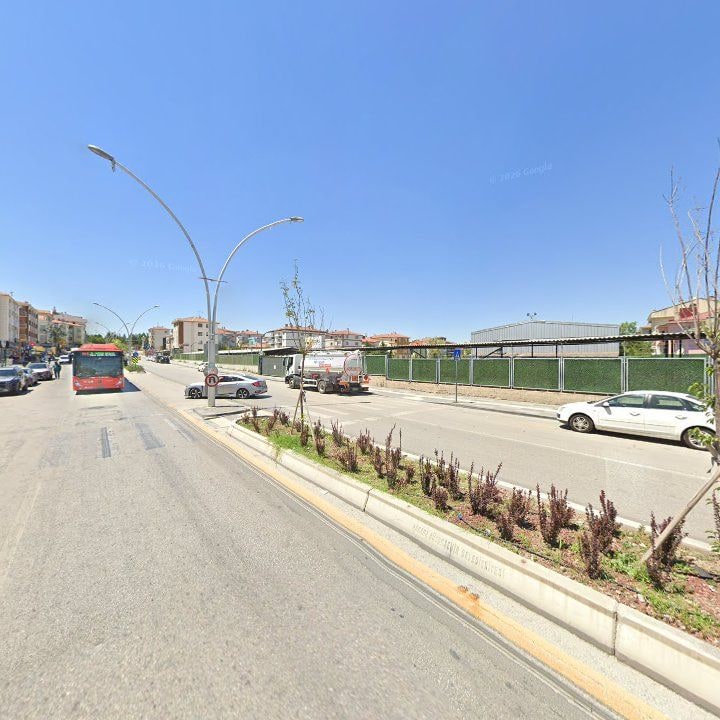 Fotoğraf 7