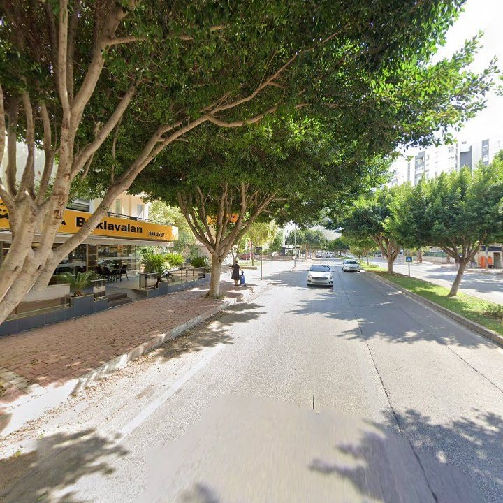 Fotoğraf 9