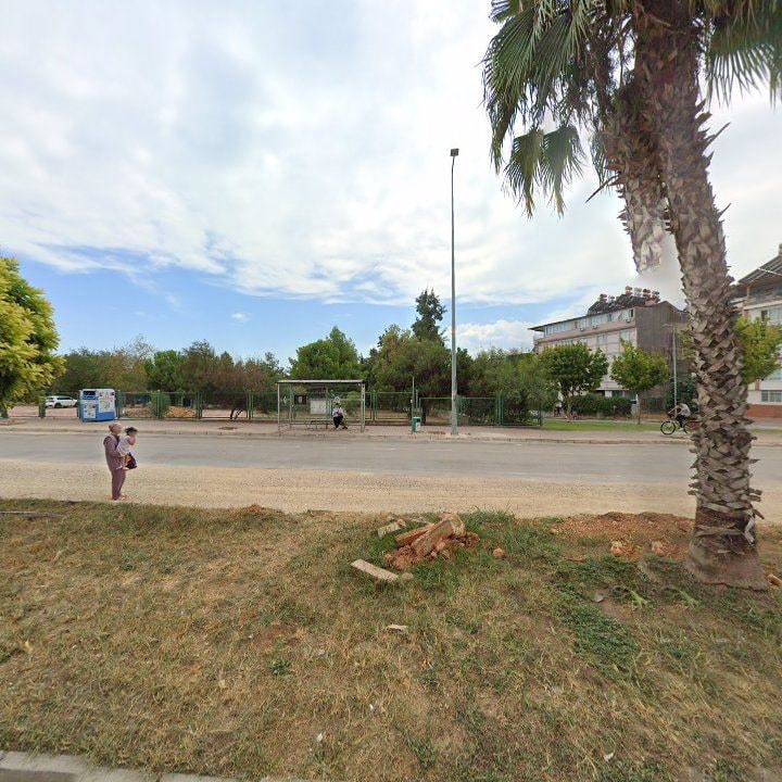 Fotoğraf 8