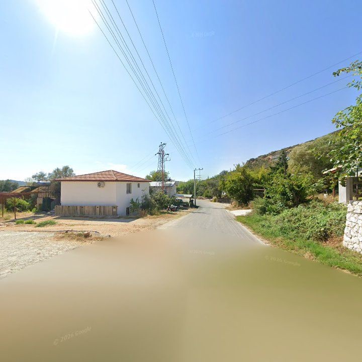 Fotoğraf 9