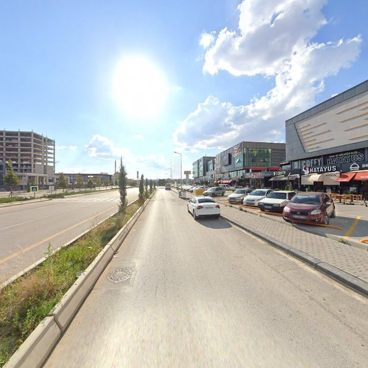 Fotoğraf 7