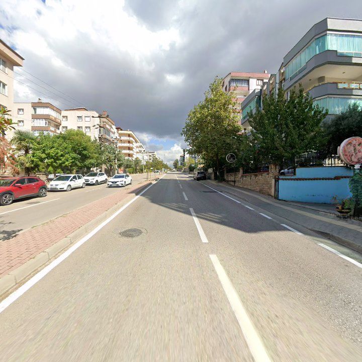 Fotoğraf 10