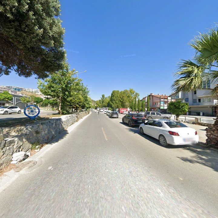 Fotoğraf 11