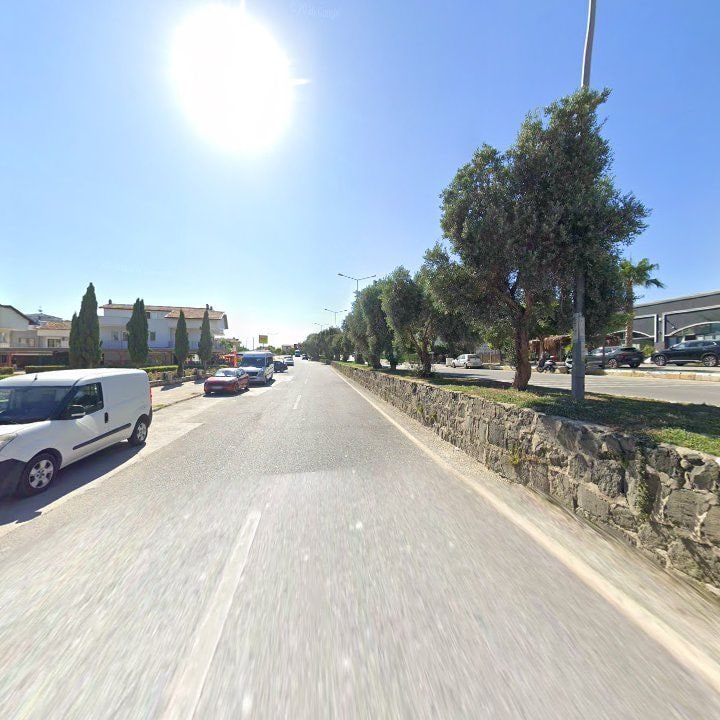 Fotoğraf 9