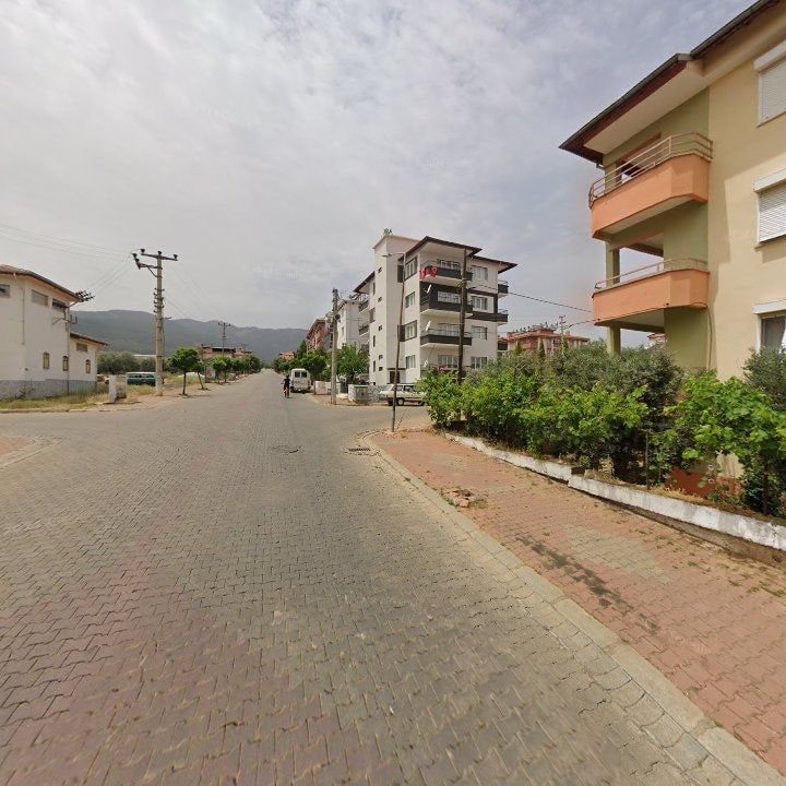 Fotoğraf 6