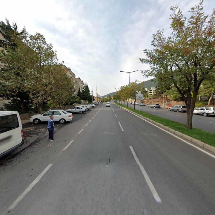 Fotoğraf 4