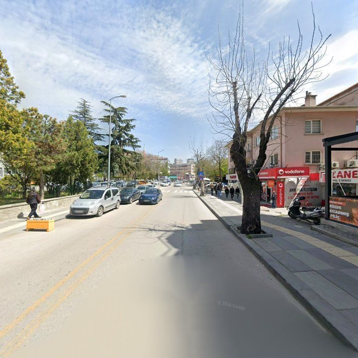 Fotoğraf 10