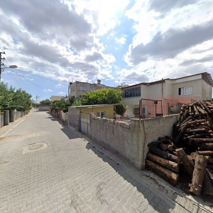 Fotoğraf 4