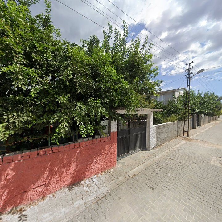 Fotoğraf 3