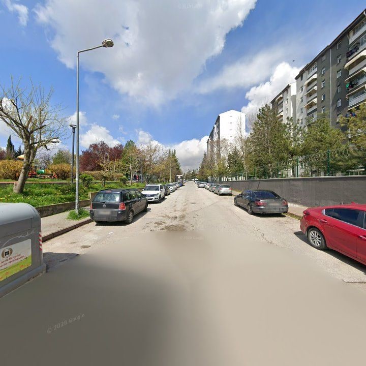 Fotoğraf 9