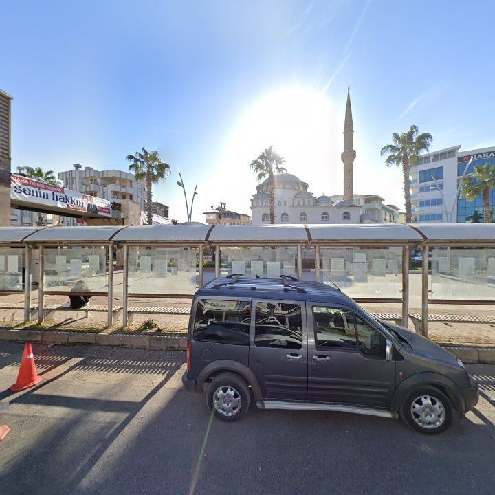 Fotoğraf 8