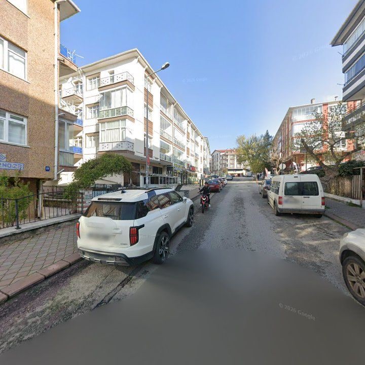 Fotoğraf 12