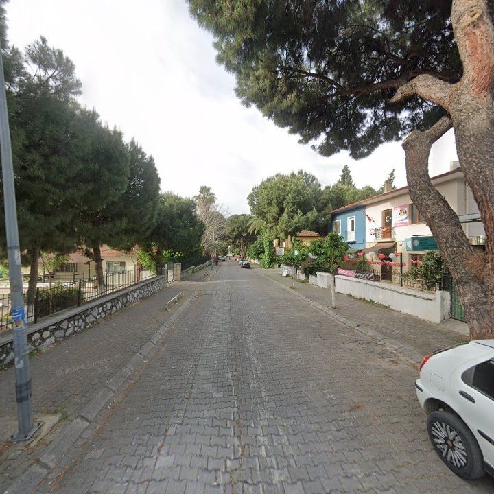 Fotoğraf 6