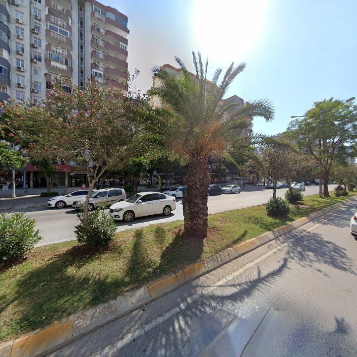 Fotoğraf 11