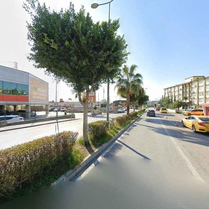 Fotoğraf 8
