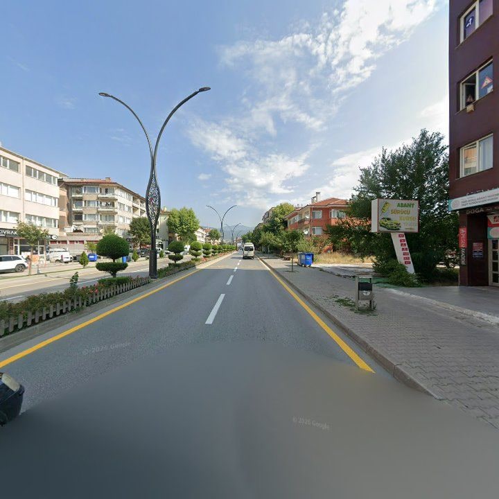 Fotoğraf 11