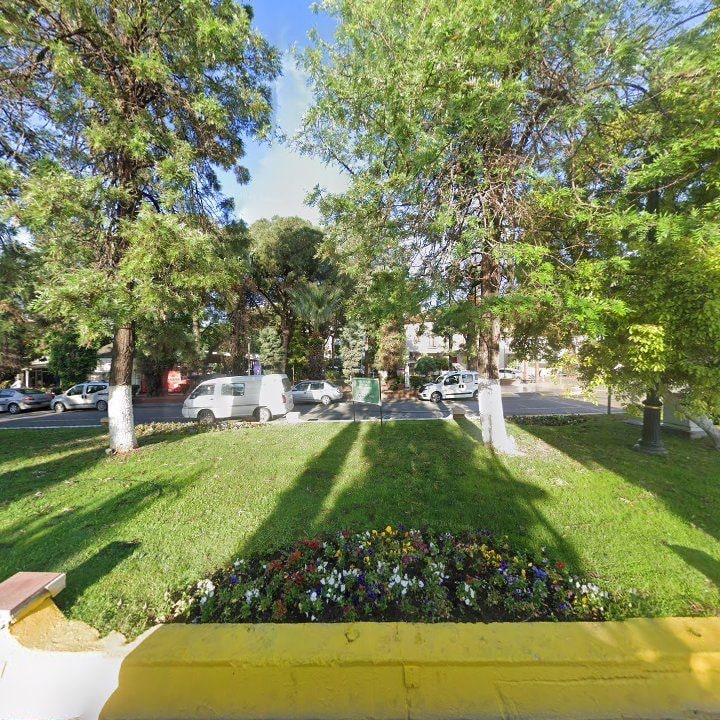 Fotoğraf 8