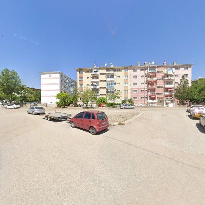 Fotoğraf 7