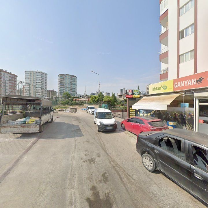 Fotoğraf 10