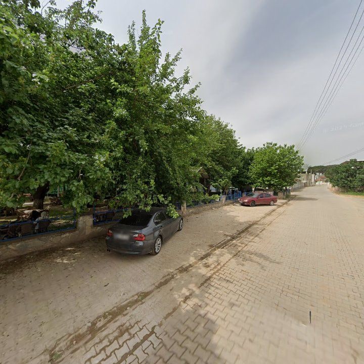 Fotoğraf 8