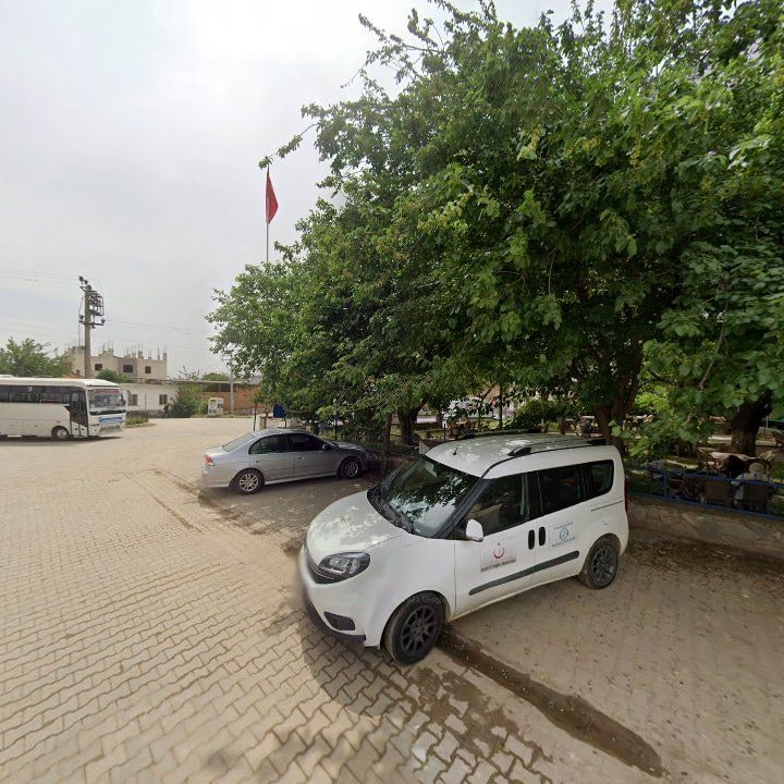 Fotoğraf 7