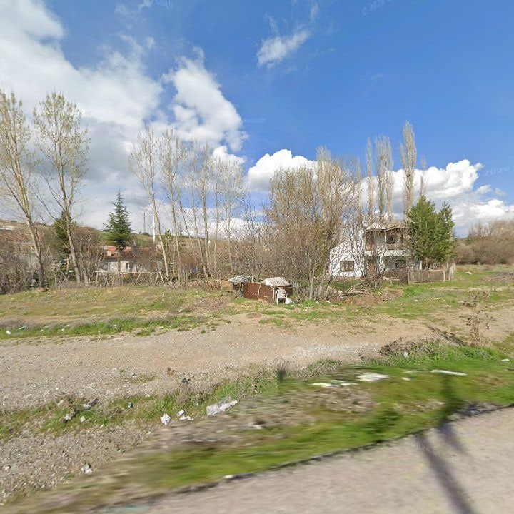 Fotoğraf 11