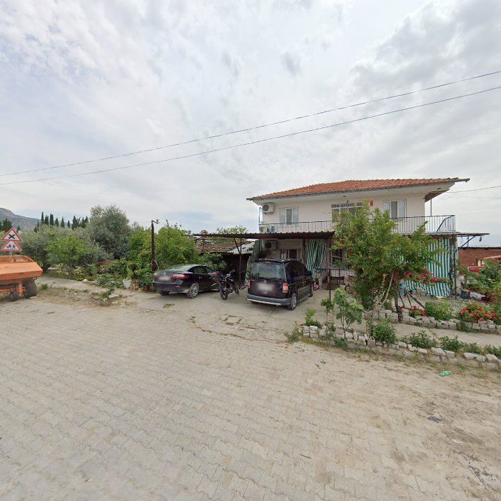Fotoğraf 3
