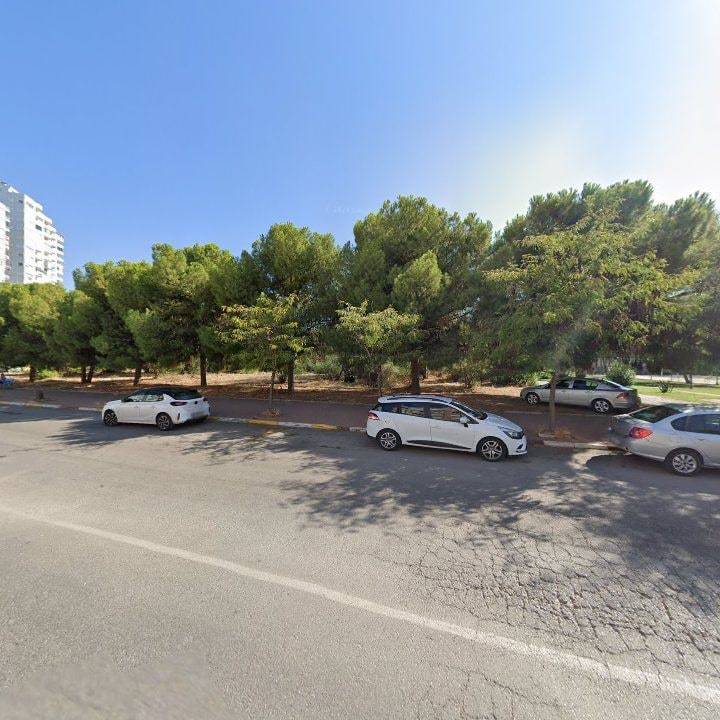 Fotoğraf 11