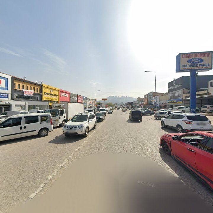 Fotoğraf 8