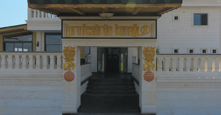 Profesörün Konağı