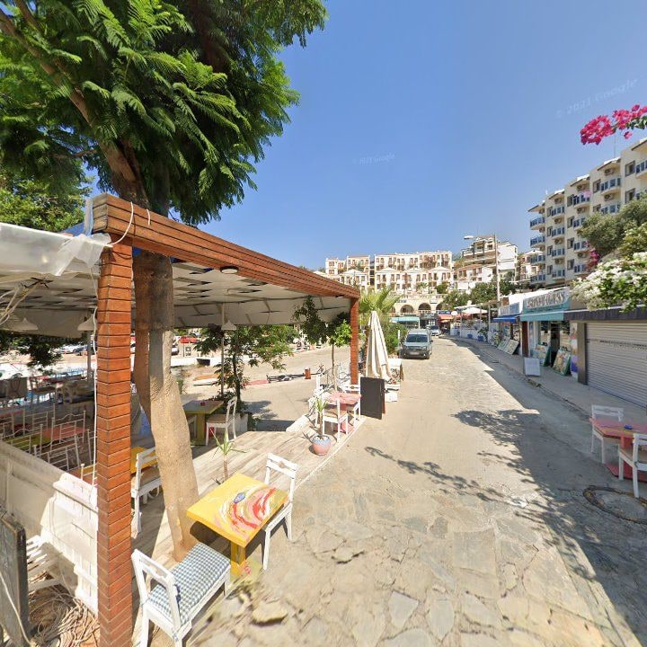 Fotoğraf 8