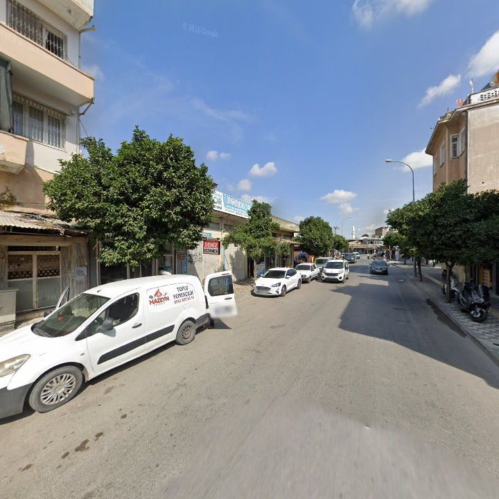 Fotoğraf 8