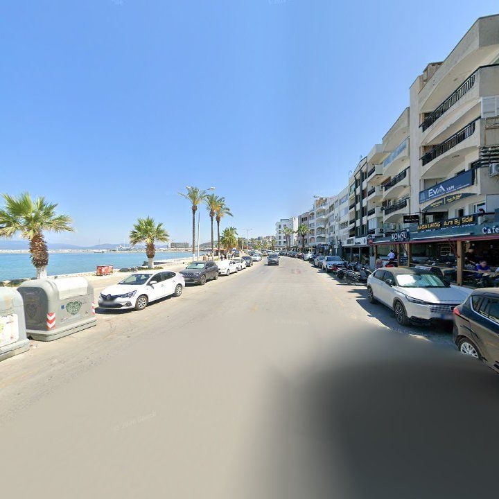 Fotoğraf 12