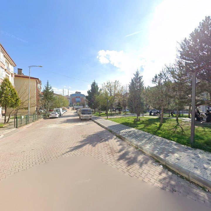 Fotoğraf 9