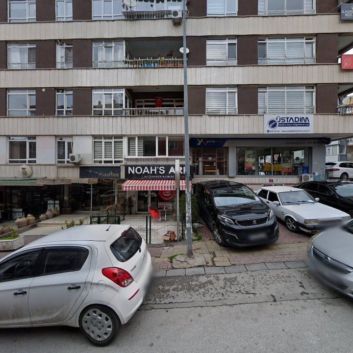 Fotoğraf 11