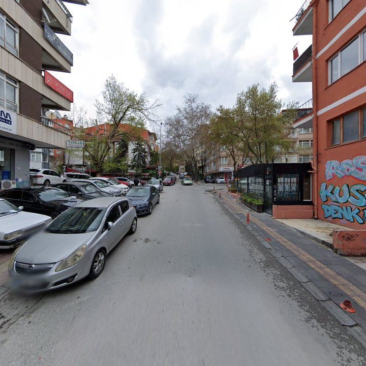 Fotoğraf 12