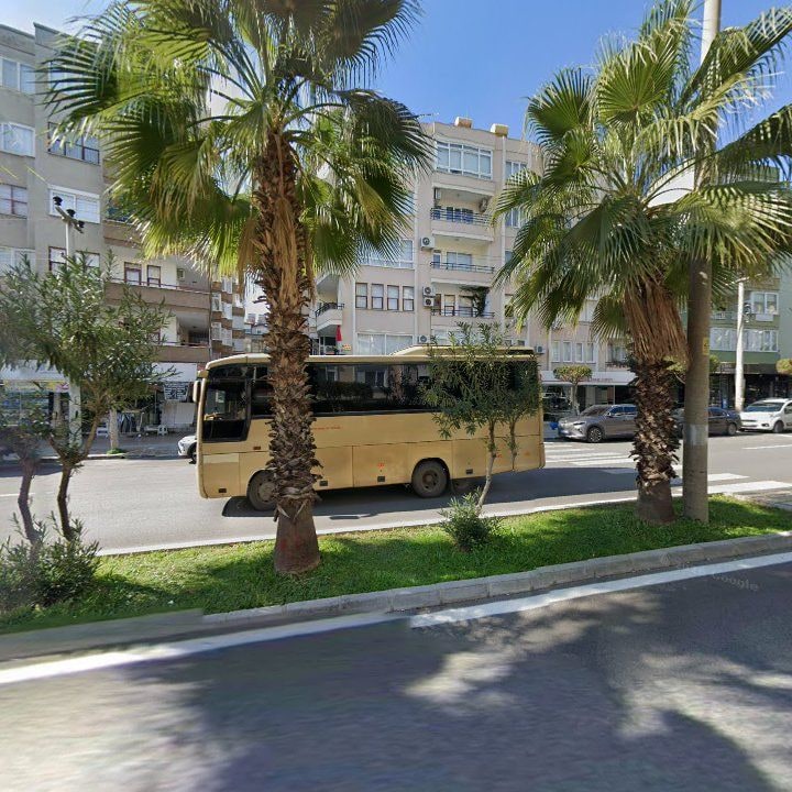 Fotoğraf 11