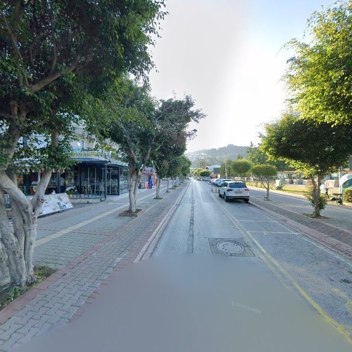 Fotoğraf 12