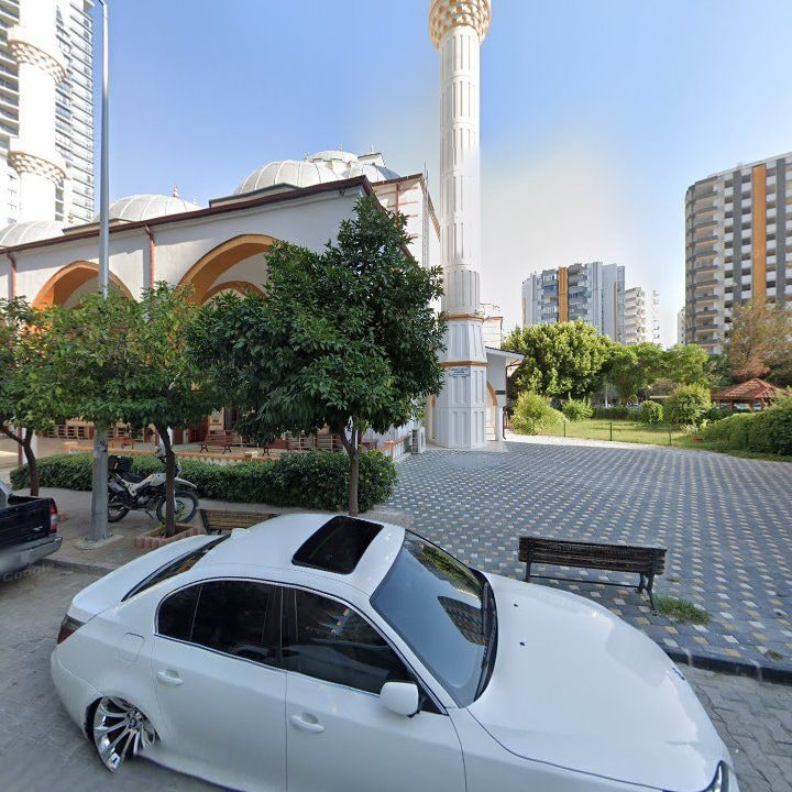 Fotoğraf 8