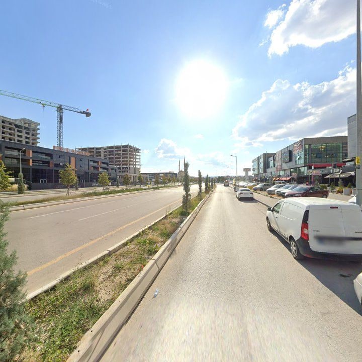 Fotoğraf 16