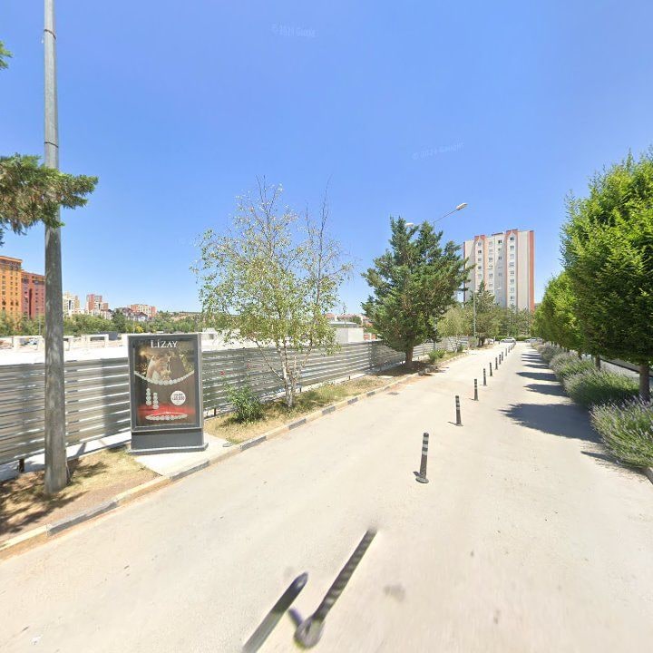 Fotoğraf 13