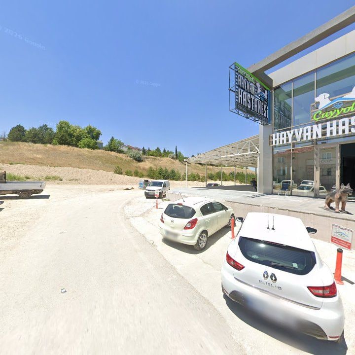 Fotoğraf 8