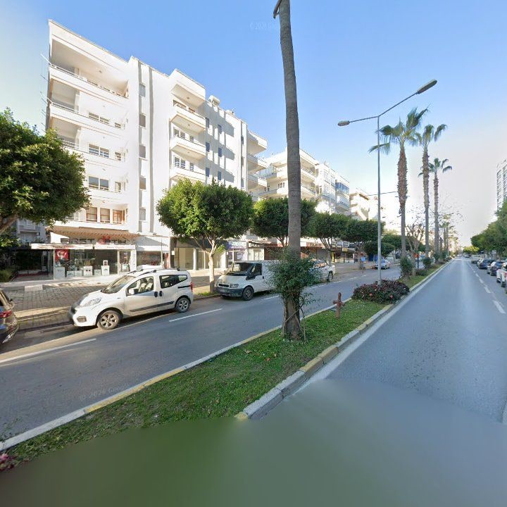 Fotoğraf 15