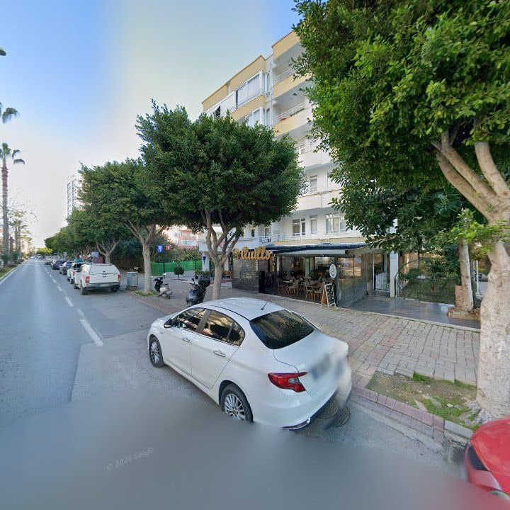 Fotoğraf 16