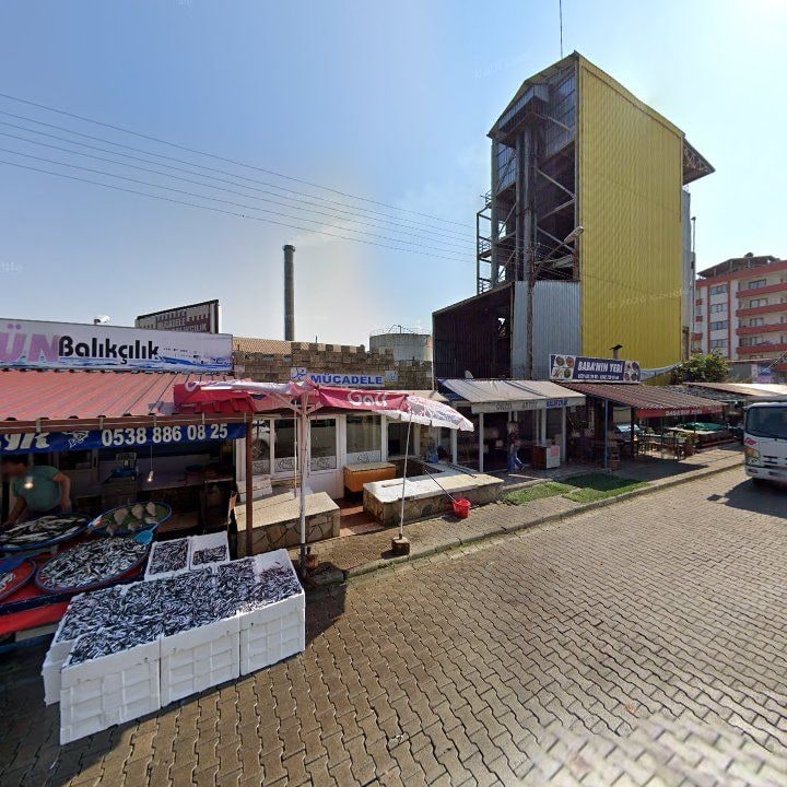 Fotoğraf 8