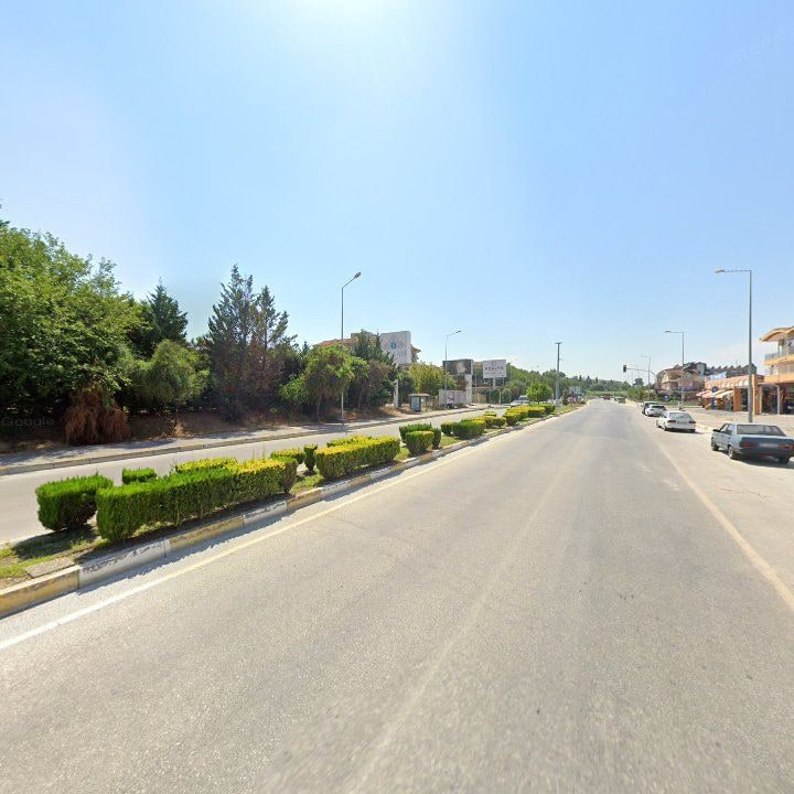 Fotoğraf 8