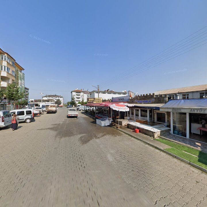 Fotoğraf 8