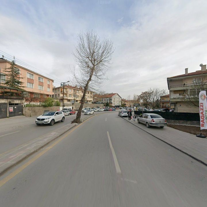 Fotoğraf 12