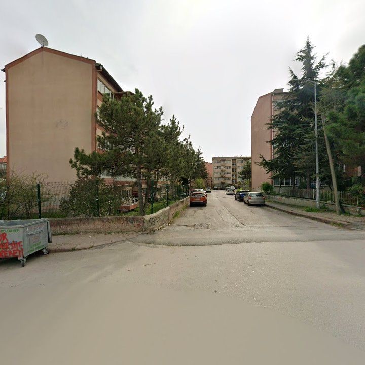 Fotoğraf 9