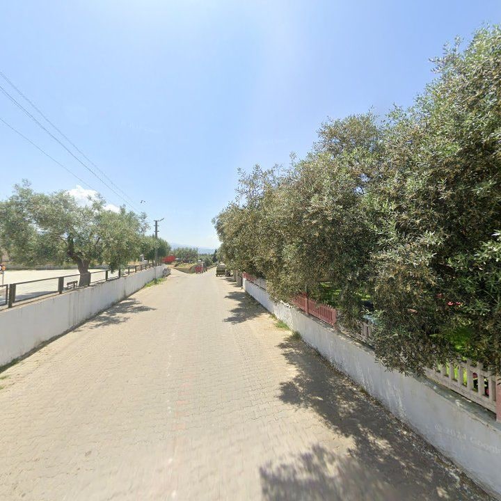 Fotoğraf 6